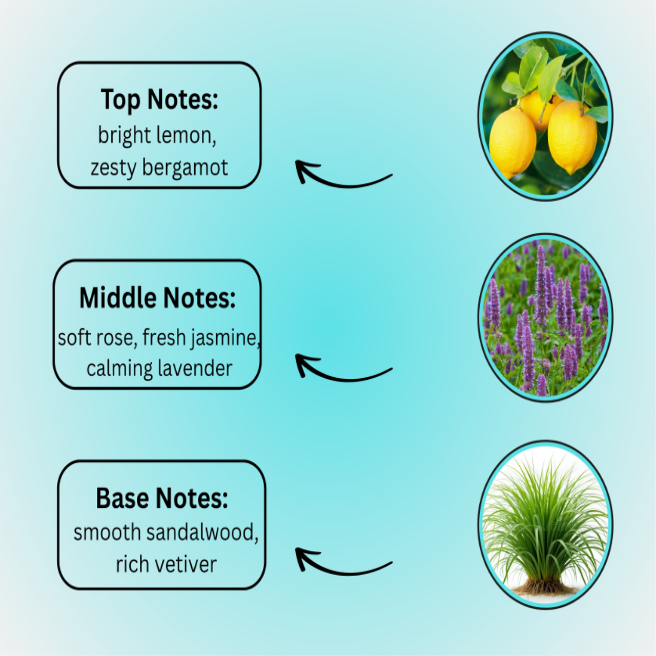 Signature Noir Perfume – Luxury Perfume for Men & Women