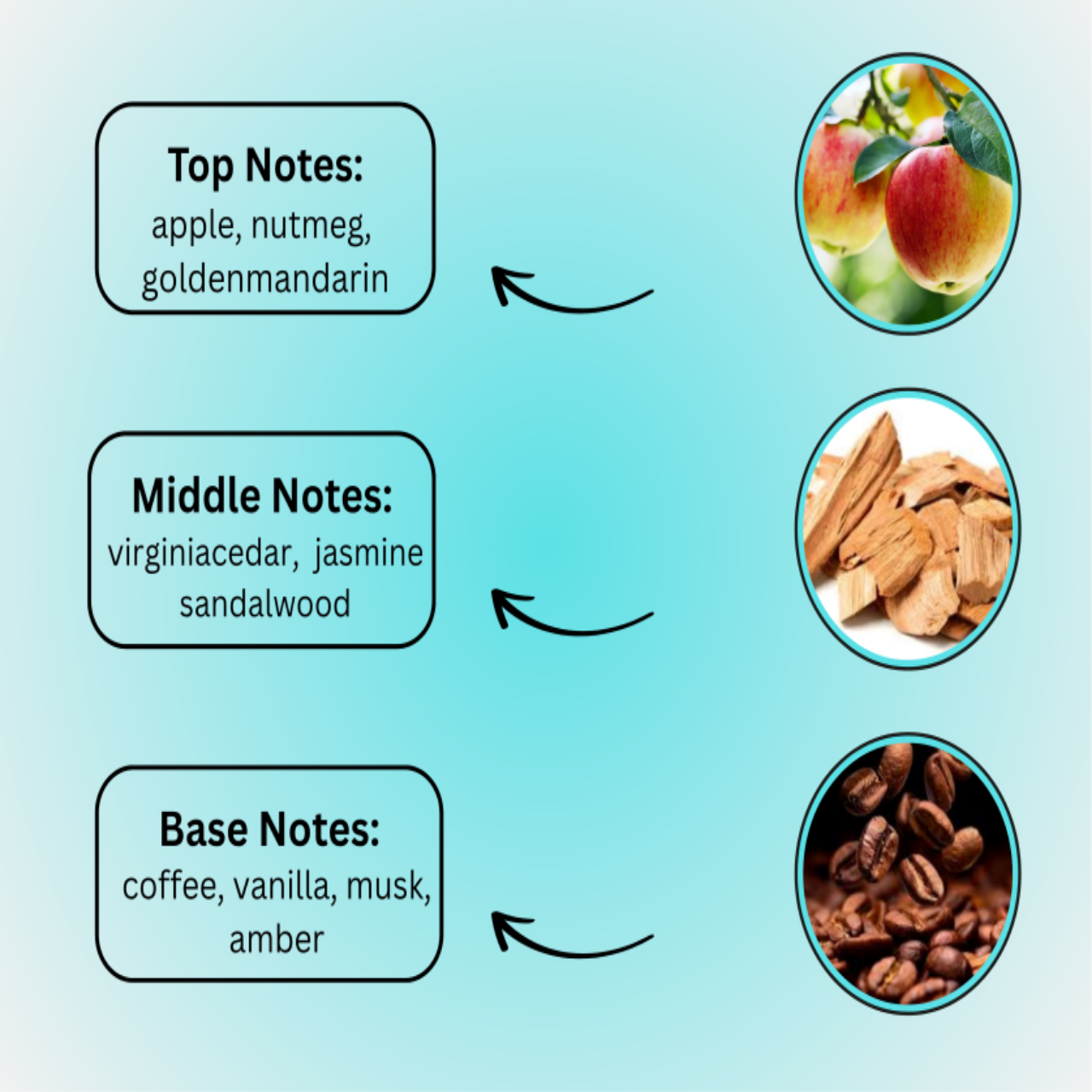 Brewed Romance Perfume – Romantic Fragrance in Pakistan