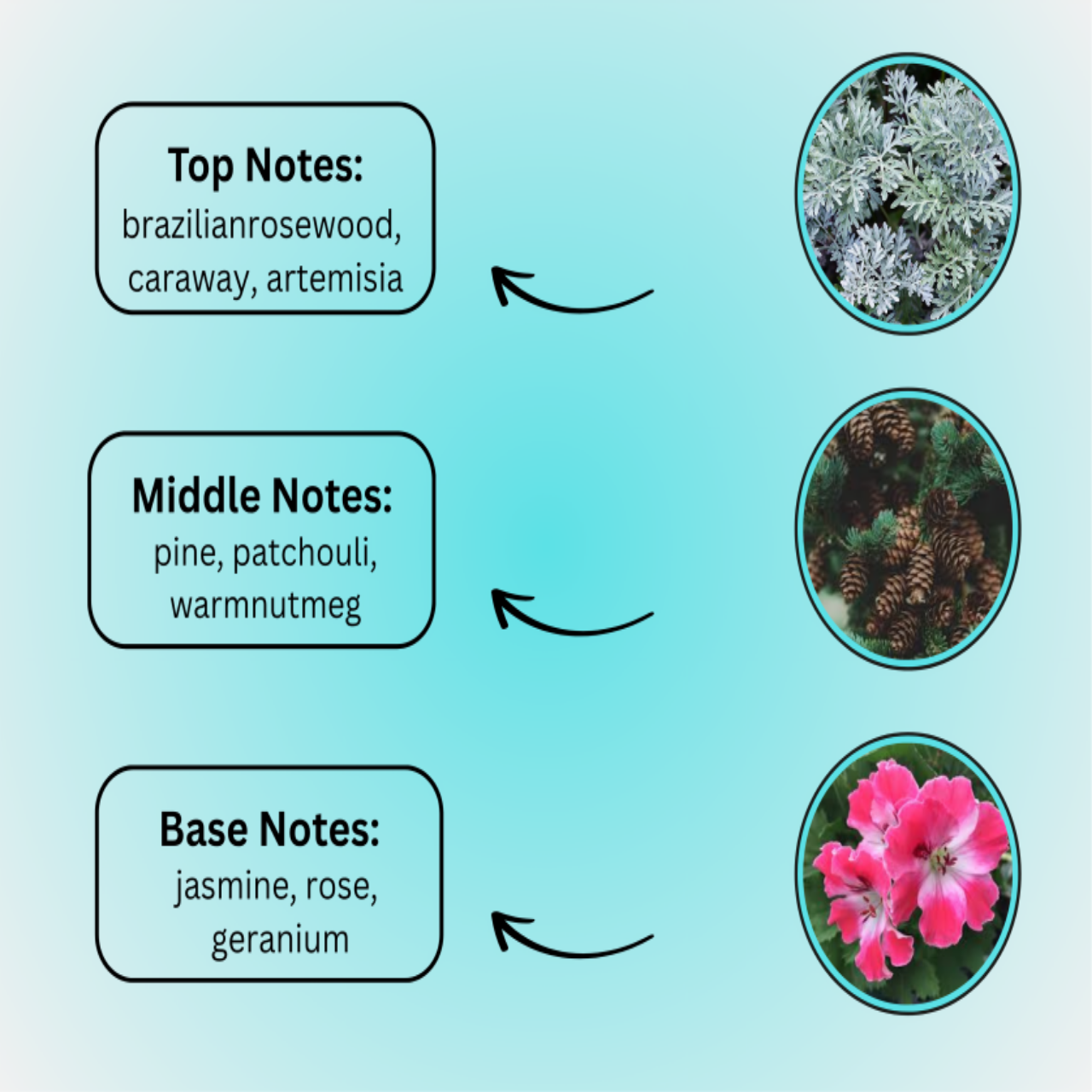 Lone Legend Perfume – Strong Long Lasting Scent for Men