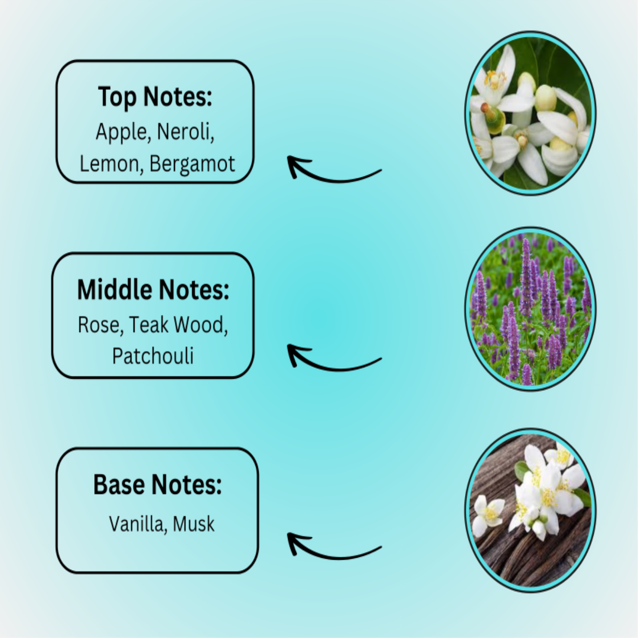 Flame Drive Perfume – Hot & Energetic Fragrance