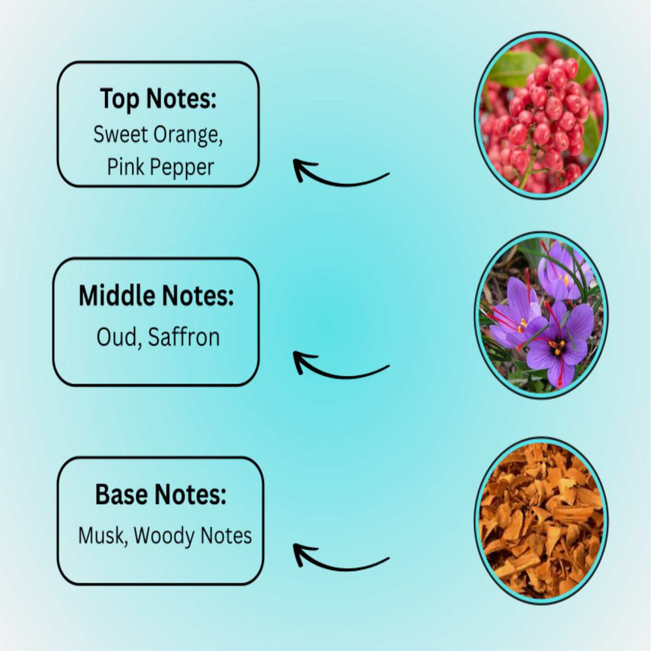 Noir Oud Perfume – Luxury Oud Perfume in Pakistan