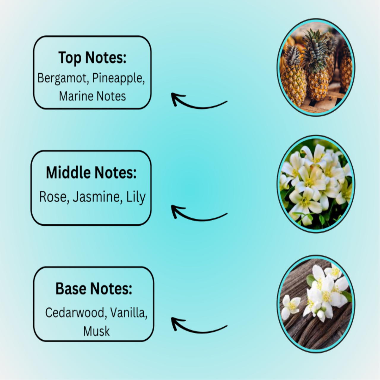 Prime Flex Perfume – Strong Fragrance for Men Pakistan