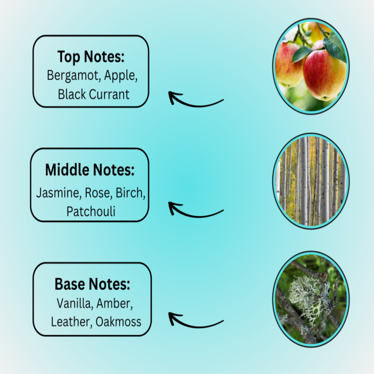 Royal Bloom Perfume – Premium Women’s Fragrance Pakistan